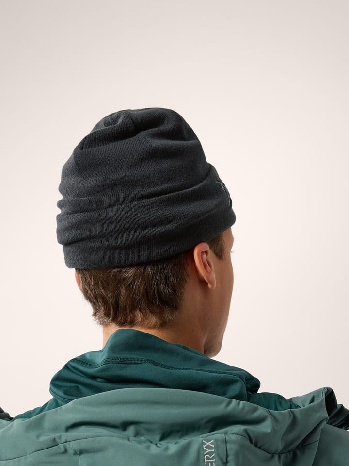 ARC'TERYX Embroidered Bird Toque ブラック - ニットキャップ